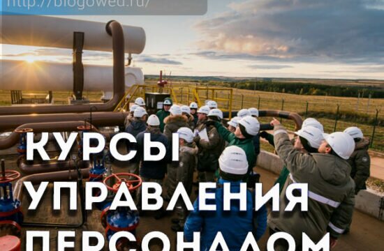 Курсы Управления Персоналом